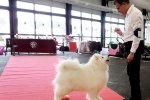 Meilleur Vétéran Bordeaux 2019